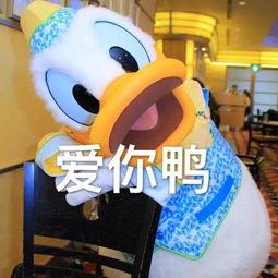 娱乐吃瓜鸭图片,揭秘娱乐圈那些不为人知的幕后故事