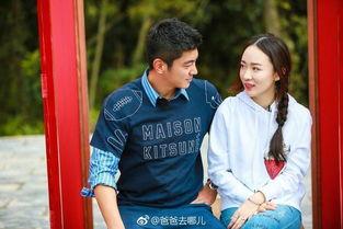 吃瓜娱乐太太,揭秘娱乐圈背后的故事与真相