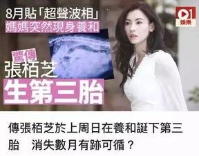 娱乐圈吃瓜实锤小说